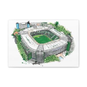 SE Palmeiras, Allianz Parque Stadium, Canvas