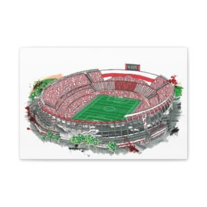 CA River Plate, Mâs Monumental Stadium, Canvas