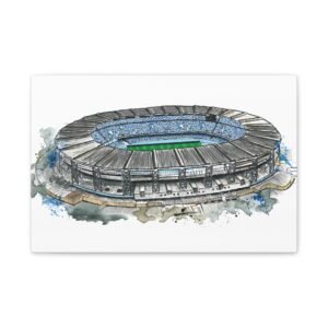 SSC Napoli, Diego Maradona Stadium, Canvas