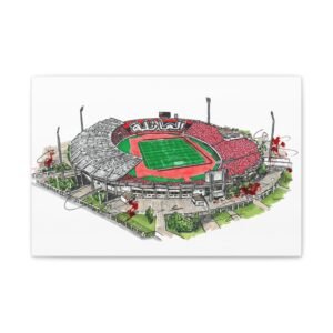 Wydad AC, Mohammed 5 Stadium, Canvas
