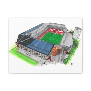 1. FC Kaiserslautern, Fritz Walter Stadium, Canvas