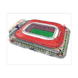 CA Osasuna, El Sadar Stadium, Matte Poster